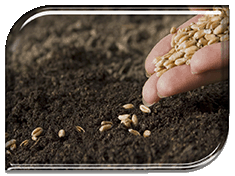 �������� �������� � ��������������� ������ ����� �����