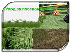 �������� ������ ��������������� ������