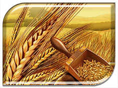 ������������ ������ ����� � �������