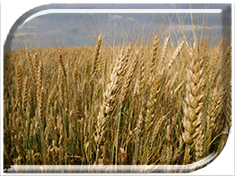 ��������� ������ � ������