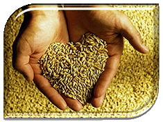 ������-2016: ����� � �����