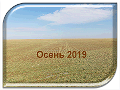 �� ����� ������ ������������ ������� �������������