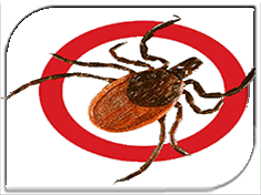 �������� �������� ��������������� ���������!