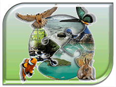 ���������� � ������� � ����� �������������� ������� "�������� ���"!