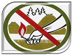 ������ ��������������� �����