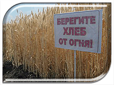 ���� �������� ������������ ��� ������ ������