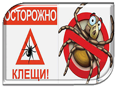 Осторожно! Крымская геморрагическая лихорадка!