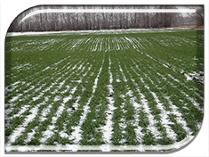 �������� ���������: � ����� ��������