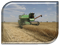 ����� 2016: ������ �����