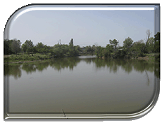 ��������! ����������� "������ ��������� ������"