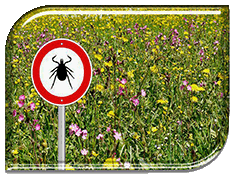 ���������: �����! 