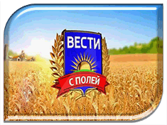  �� ����� ���������������� ������ ������������ ��������� ������