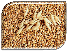 � ���������� ���������������� ������ ��������� ������ �������� � ����������